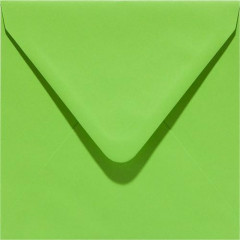 Papicolor Umschlag Quadrat - frühlingsgrün