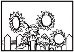 Embossing Folder - Sonnenblumen
