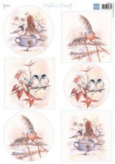 Schneidebogen - Matties schönste Wintervögel