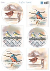 Schneidebogen - Matties Mooiste Vögel im Winter