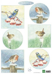 Schneidebogen - Tinys Birds in Winter