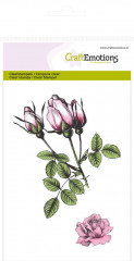 Clear Stamps - Botanical Rosenknospen
