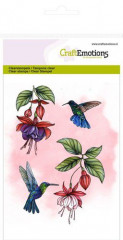 Clear Stamps - Fuchsie Kolibri