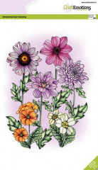 Clear Stamps - Sommerblumen mischen