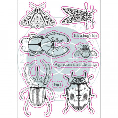 Clear Stamps - The Emporium Beetles