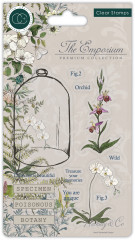 Clear Stamps - The Emporium Botany
