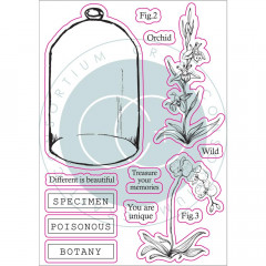 Clear Stamps - The Emporium Botany