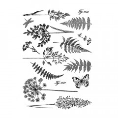 Unmounted Rubber Stamps - Ferns and Grasses Reissued