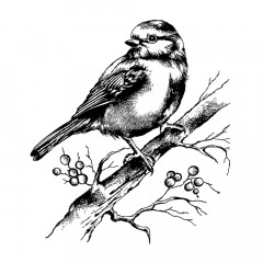 Unmounted Rubber Stamps - Bluebird and Branch with Berries