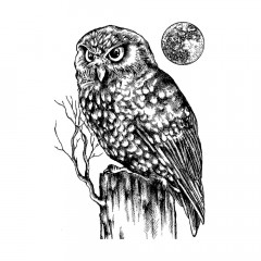Unmounted Rubber Stamps - Owl and Moon