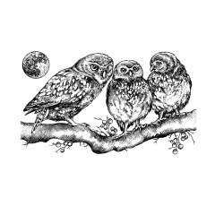 Unmounted Rubber Stamps - Owl Family