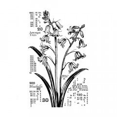 Unmounted Rubber Stamps - Counting Bluebells