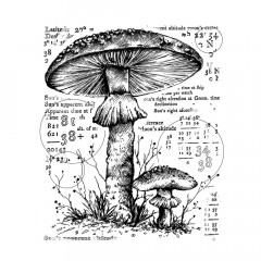 Unmounted Rubber Stamps - Counting Toadstools