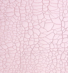 Cosmic Shimmer Crackle Paste - Frosted Blossom