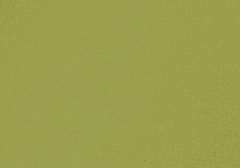 FSC Doppelkarte DIN Lang, olivgrün