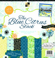 Blue Citrus 12x12 Paper Stack