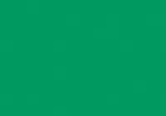 CreaSoft (Moosgummi) 30x45cm, grün