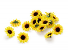 Miniaturblumen Sonnenblume 1       