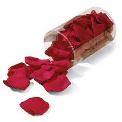 Miniaturblumen Rosenblätter rot 2