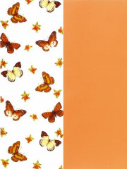Pergamentpapier Duo Schmetterling-orange