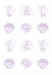 Pergament Papier Rosen lila