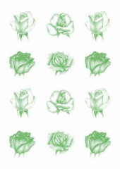 Pergament Papier Rosen grün