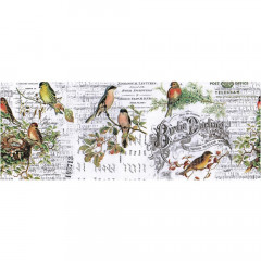 Idea-Ology Collage Paper - Aviary