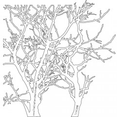 Crafters Workshop 6x6 Templates - Branches