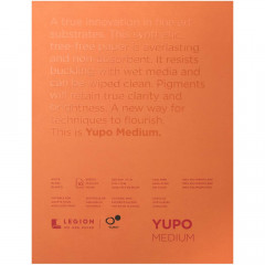 Legion Yupo Paper 9x12 inch Medium