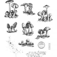 Cling Stamps Tim Holtz - Tiny Toadstools