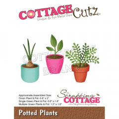 CottageCutz Die - Potted Plants
