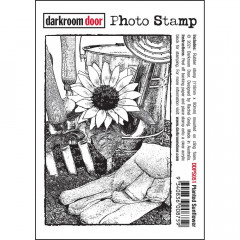 Darkroom Door Cling Stamps - Photo Planted Sunflower