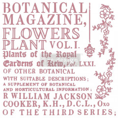 Re-Design 12x12 Decor Clear Stamps - Botanical Encyclopedia