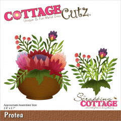 Cottage Cutz Die - Protea