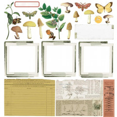 Curators Meadow 12x12 Collection Pack