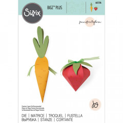 Bigz Plus Die - Box Carrot and Strawberry