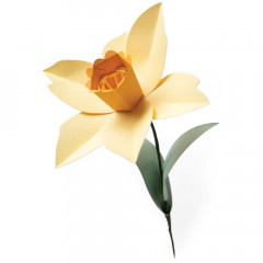 Bigz L Die - Daffodil