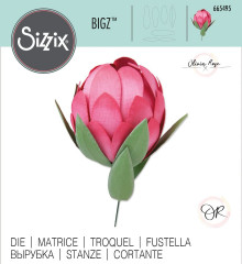 Bigz Die - Protea