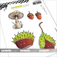 Carabella Cling Stamps - Autumn Fruit