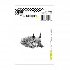 Cling Stamps - Mini Eichhörnchen, surprise