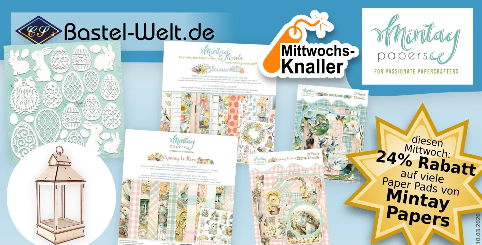 Mintay bei den Mittwochs-Knallern!