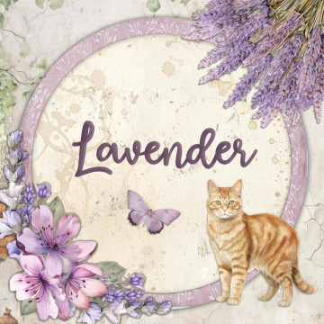 Lavender von Stamperia