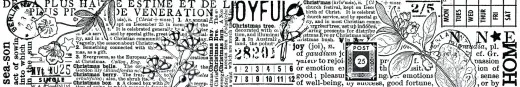 Arden Creative Studio - Journal PET Tape Continuous - Season of Joy