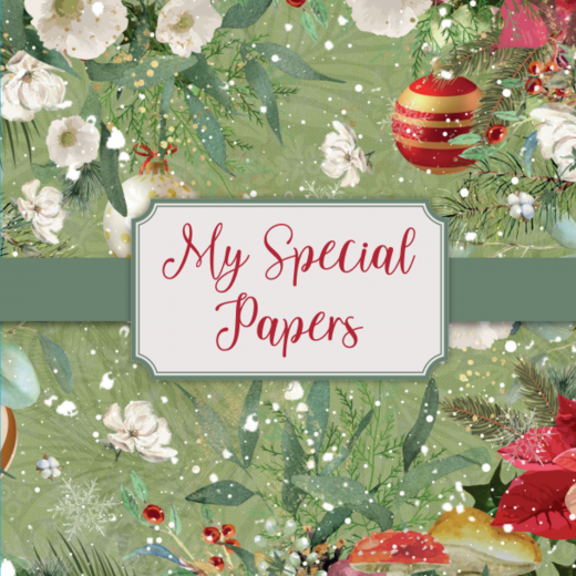 My Special Papers Box - 12x12 Inch - Christmas