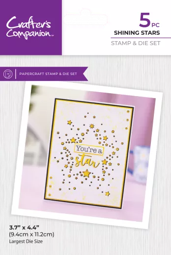 Clear Stamp & Cutting Die - Confetti Cut In Dies - Shining Star