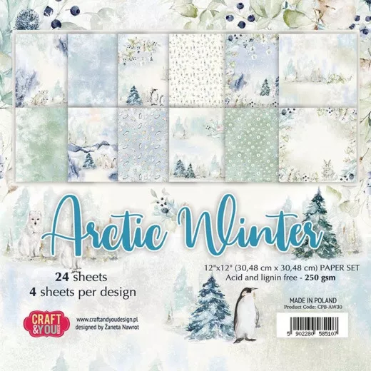 Arctic Winter 6x6 Paper Pad