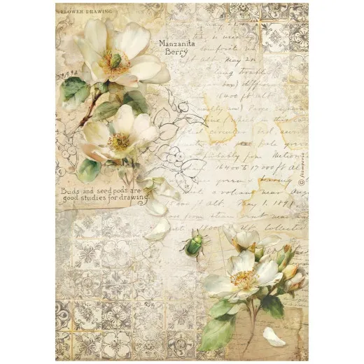 Stamperia Rice Paper - All Around - Camellia