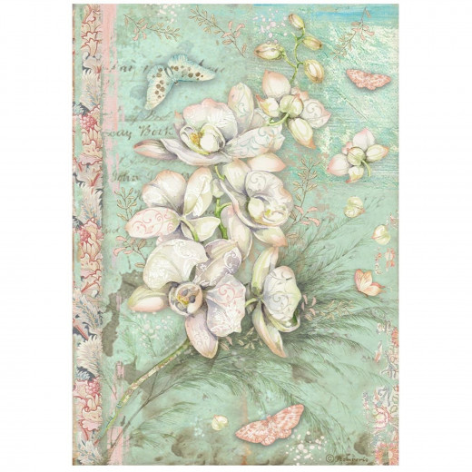 Stamperia Rice Paper - Orchids and Cats - White Orchid