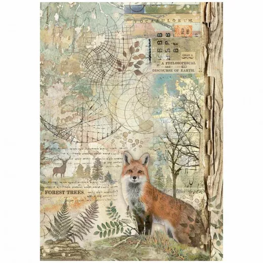 Stamperia Rice Paper - Forest - Fox