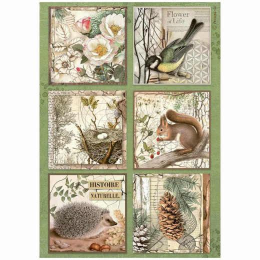 Stamperia Rice Paper - Forest - 6 Cards